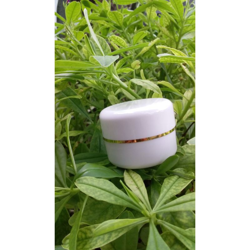 Jual Pot Cream 12 5 G Warna Putih Cuci Gudang Shopee Indonesia