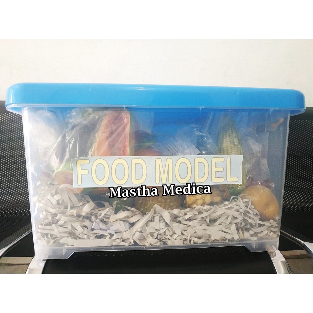 King Food Model Gizi Replika Makanan 4 Sehat 5 Sempurna