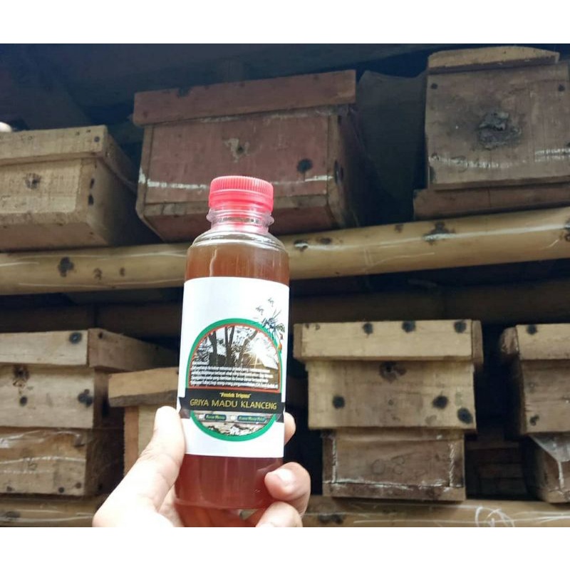 

madu trigona/madu klanceng 250ml