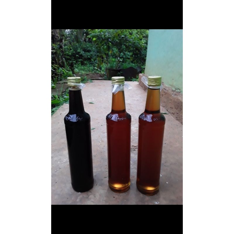 

madu lebah hutan