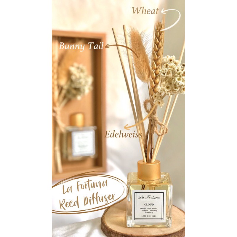 LA FORTUNA - REED DIFFUSER AROMATHERAPHY 50ml | PEWANGI PENGHARUM RUANGAN | PEWANGI AROMATERAPI