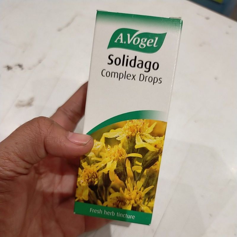 A.vogel solidago
