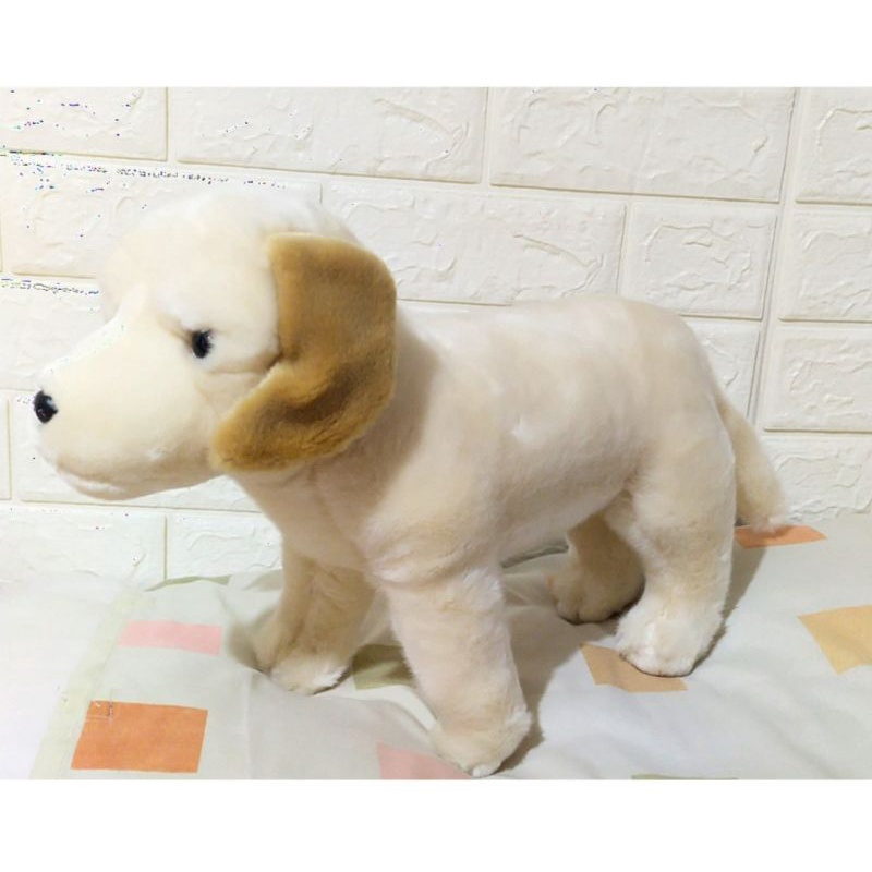 Boneka Anjing Golden retriever standing