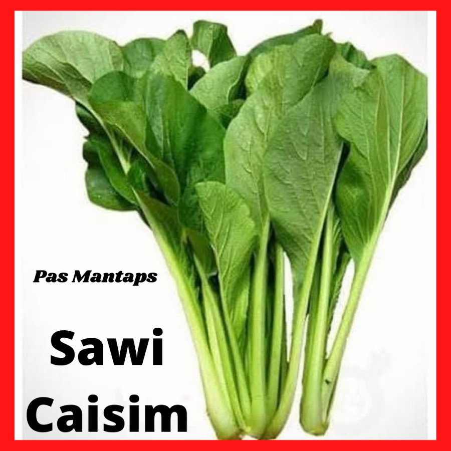 

Sawi Caisim Pasar Sayuran Segar Bekasi