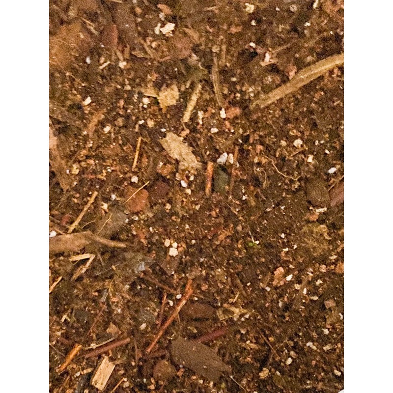 METAN MANTUY FUFUFU / MEDIA TANAM NOBRANDPLANT BY ASOKA