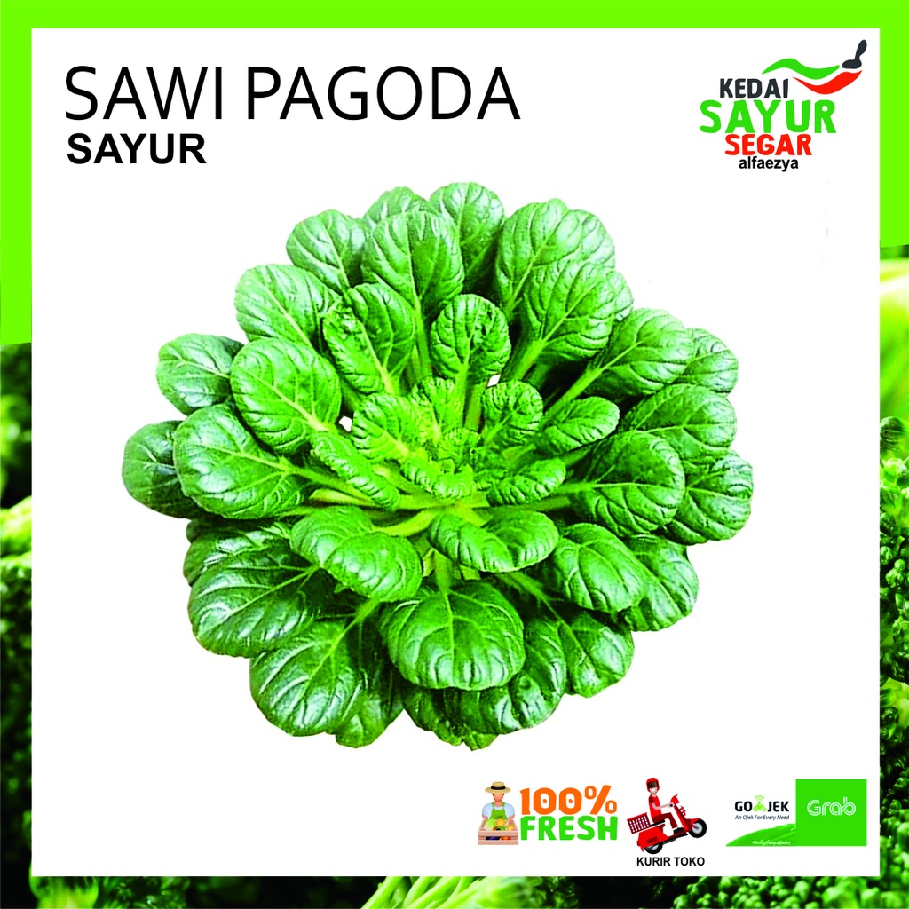 

SAWI PAGODA Sayur Segar Repack 250gr / 500gr / 1000gr