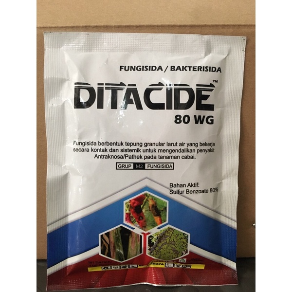 Fungsida/Bakterisida DITACIDE 80 wg ampuh mengatasi patek pada tanaman cabai 100 gram