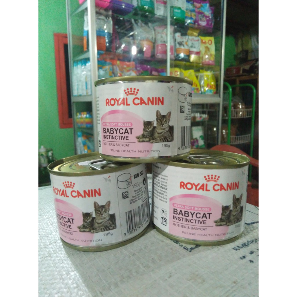 Wet Food Makanan Kucing Royal Canin Baby Cat