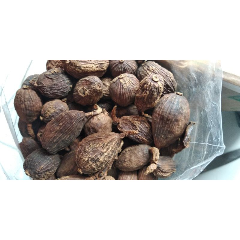 

Black cardamom 15gram / kapulaga hitam / black cardamon / Cao guo Amomum tsaoko