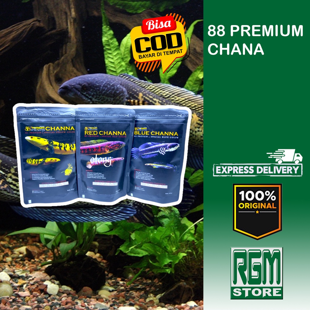 Premium 88 ALL PREDATOR RED BLUE YELLOW CHANNA CANA makanan Pakan ikan