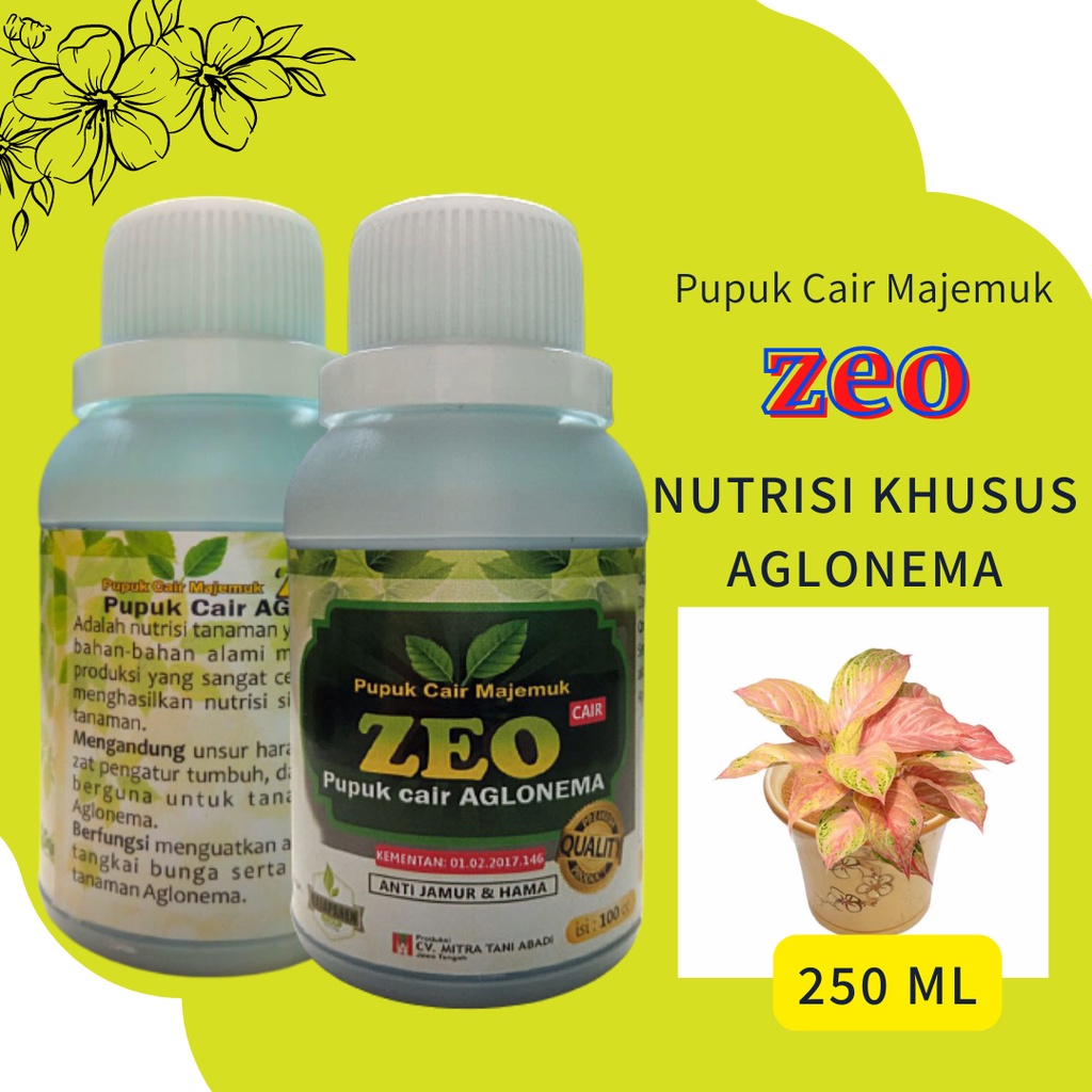 Pupuk Bunga Aglonema, BISA COD Pupuk Aglaonema Cepat Beranak, Pupuk Aglonema Terbaik