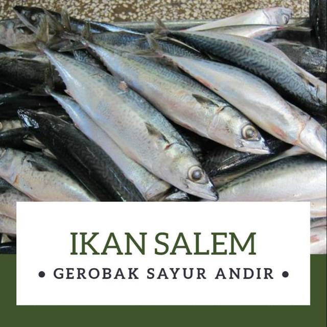 

IKAN SALEM / 500gr