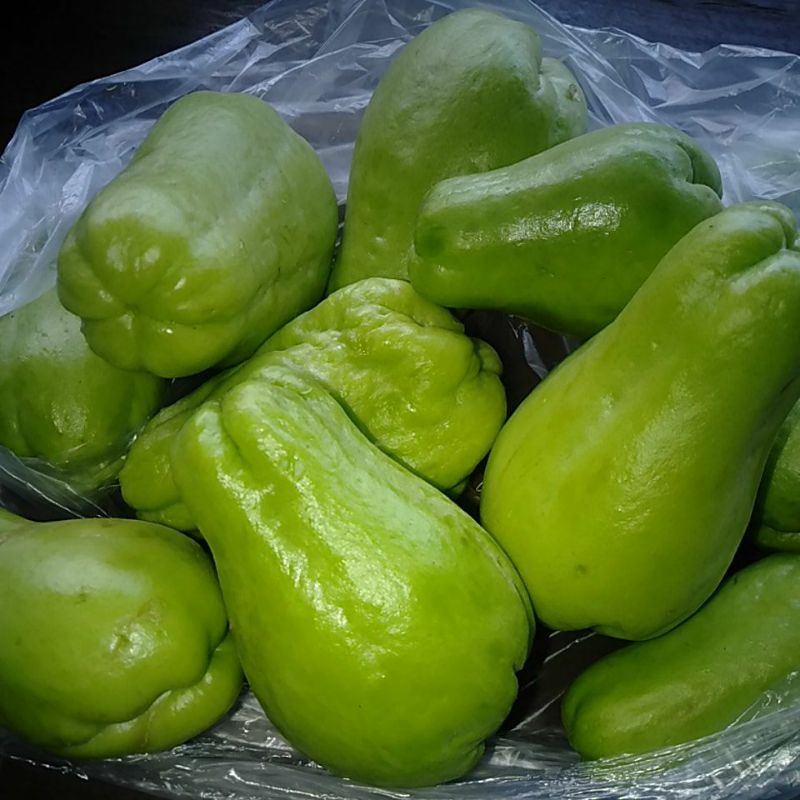 

Baby Labu Siam Jipang Gondes segar