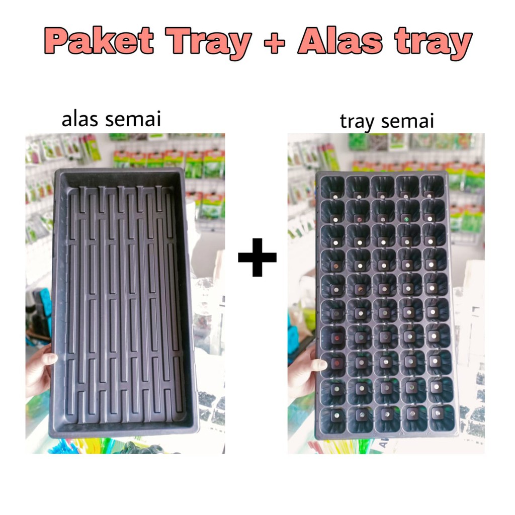 PAT - Paket Tray dan Alas Semai - Tebal 1 mm - (Lubang 50, 72, 105, 128, 162, 200, 288)