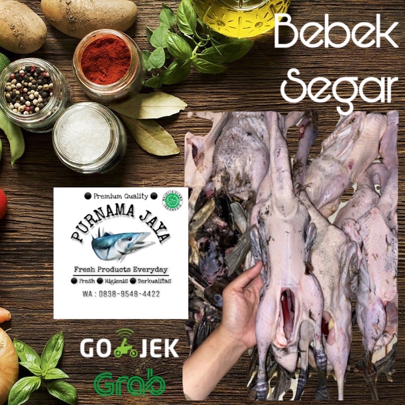 bebek lokal segar per ekor no frozen