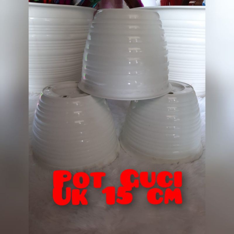 Pot Guci uk 15 cm pot plastik