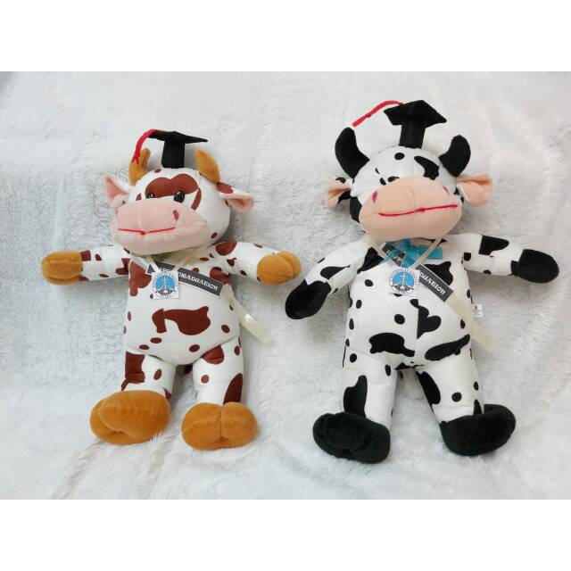 boneka wisuda / BANTAL KARAKTER / BONEKA KARAKTER