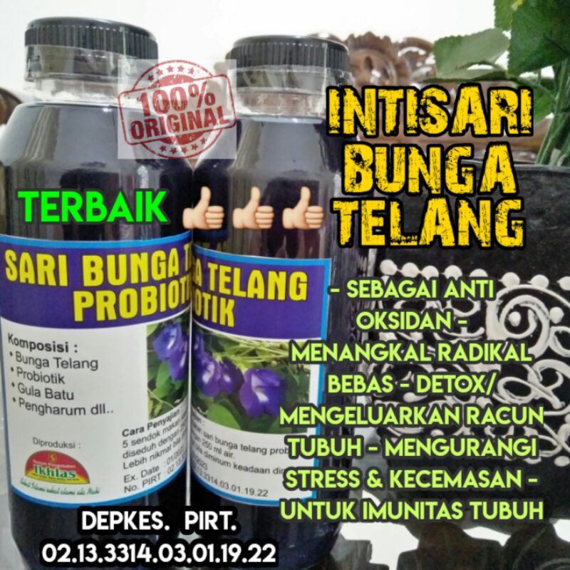 

Intisari Bunga Telang l Probiotik Sari Bunga Telang Segar Organik Original l Ekstrak Bunga Telang