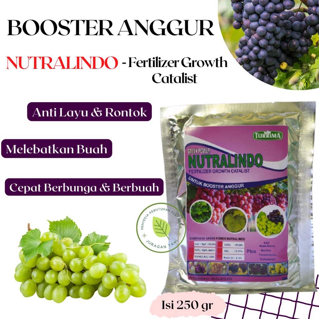 Jual Pupuk Organik Anggur, Booster Anggur Cepat Berbuah, Pupuk Anggur ...