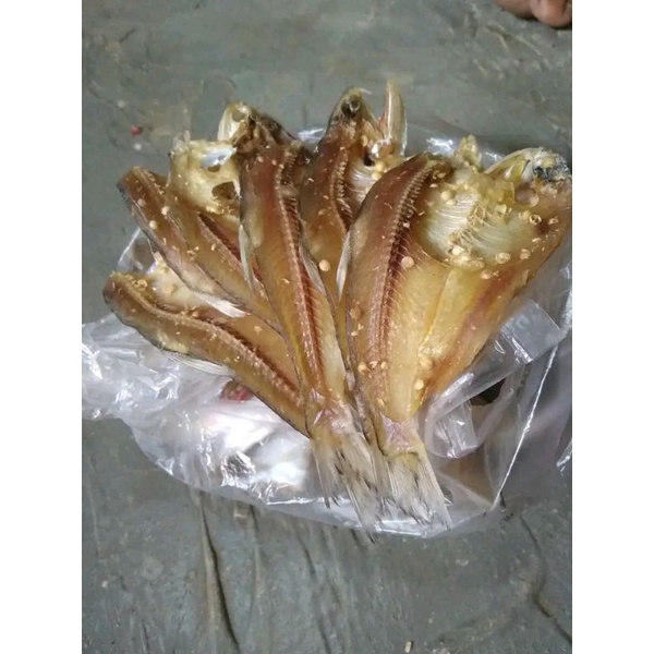 

ikan.asin.dilis