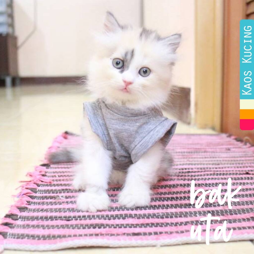 Kaos Biasa warna abu-abu untuk kucing dan anjing lucu size S M L XL (choose  one)