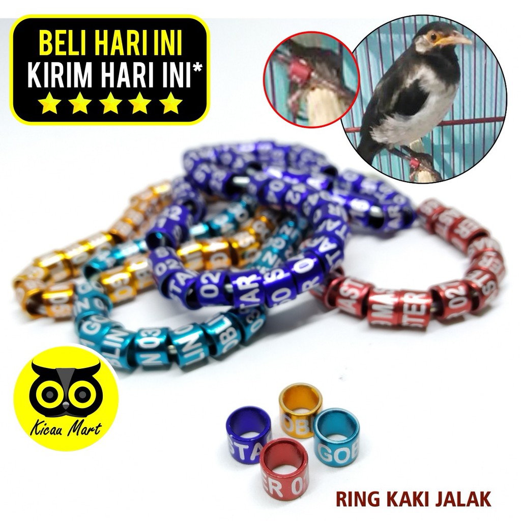 RING PENANDA KAKI BURUNG JALAK GELANG PENGAMAN KAKI BURUNG FOOT BIRD LASER WGOILBJ4