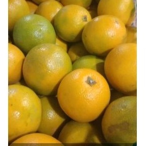 

Sunkist baby isi 7kg