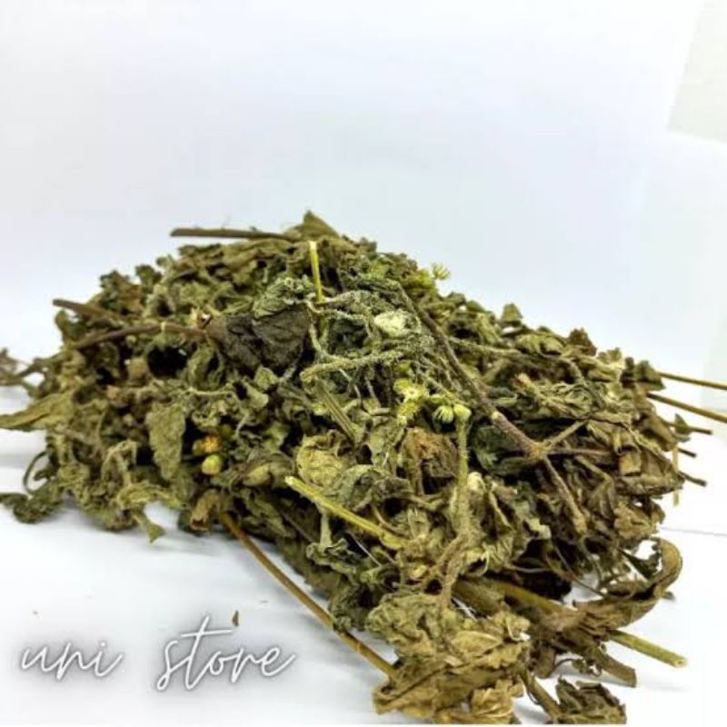 

Daun Bandotan Kering Per 250 Gram