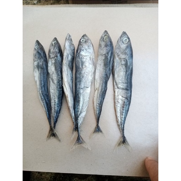 

ikan asin TONGKOL UTUH grade A ; 250 gram