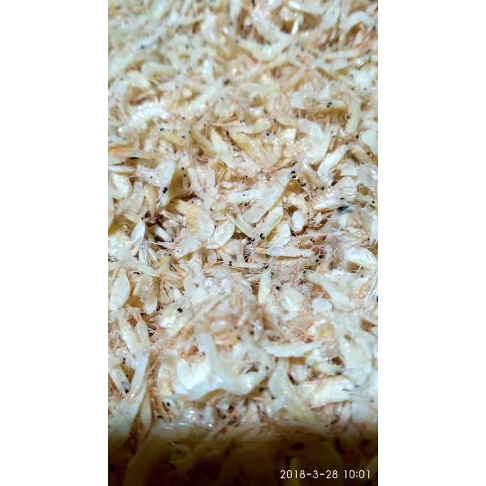 

[COD] Udang Rebon Besar 500 Gram [COD]
