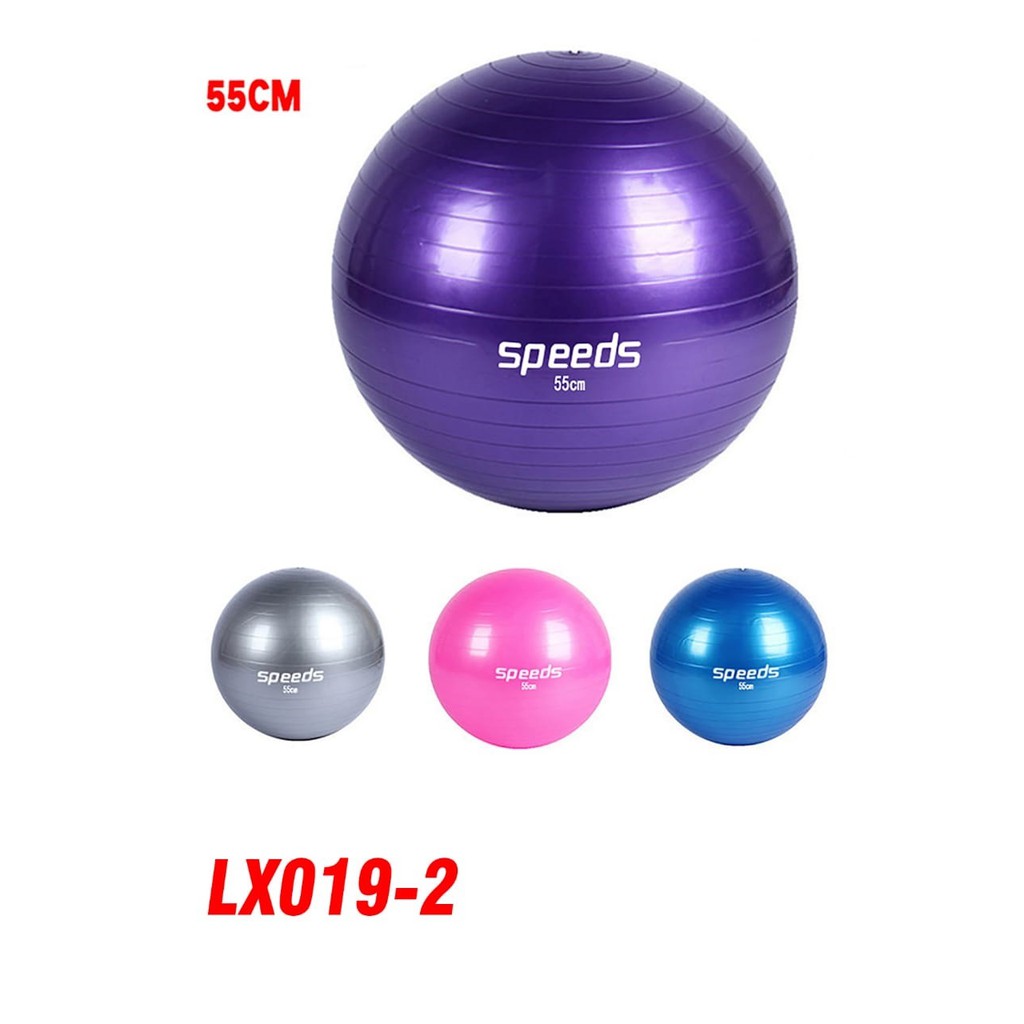 Gym Ball / bola gym ball