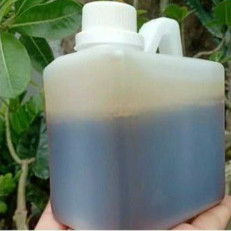 

Madu klanceng kelulut lebah trigona 500 ml