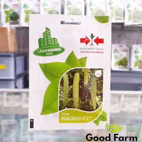 BENIH PARE RADEN F1 | PANAH MERAH | URBAN FARMING