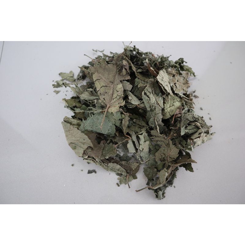 

Herbal daun jati belanda kering ori 1kg murah kualitas A