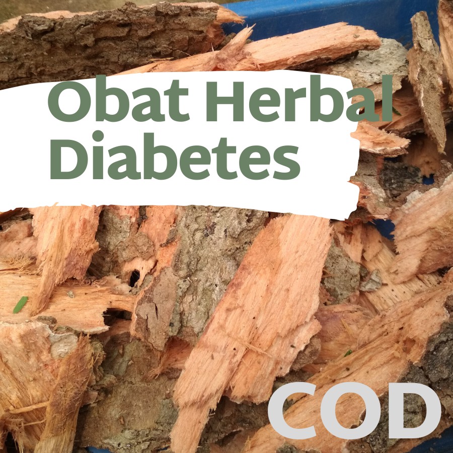 Kulit Kayu Pohon Juwet Kering 3 batang - Pohon Duwet Jamblang