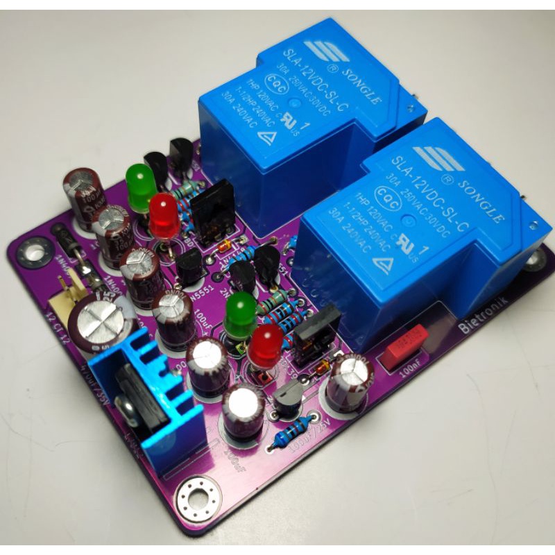 speaker protector stereo