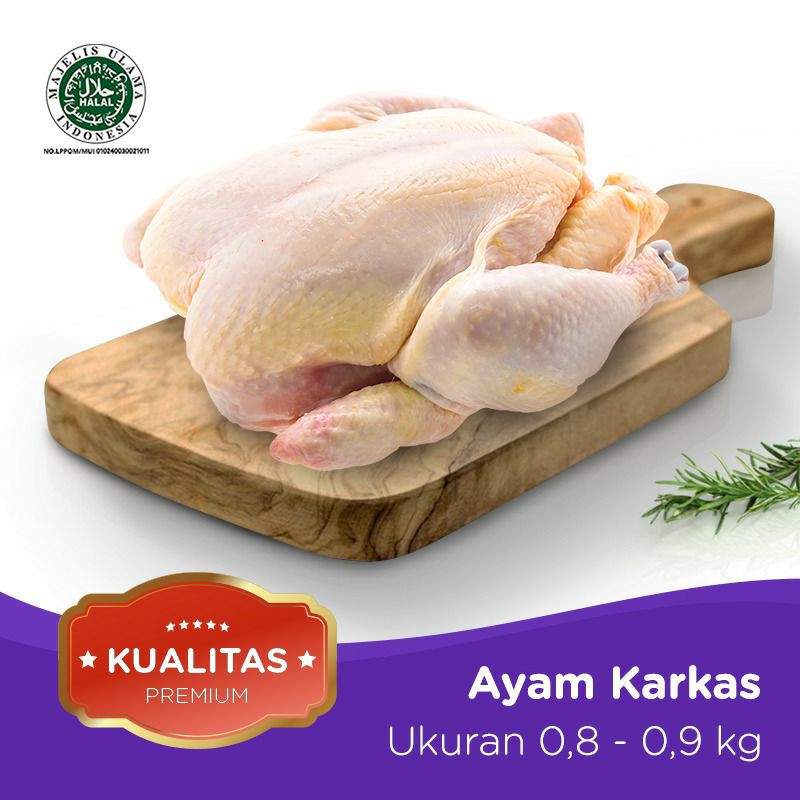 

Ayam Termurah Dengan Kualitas Super!