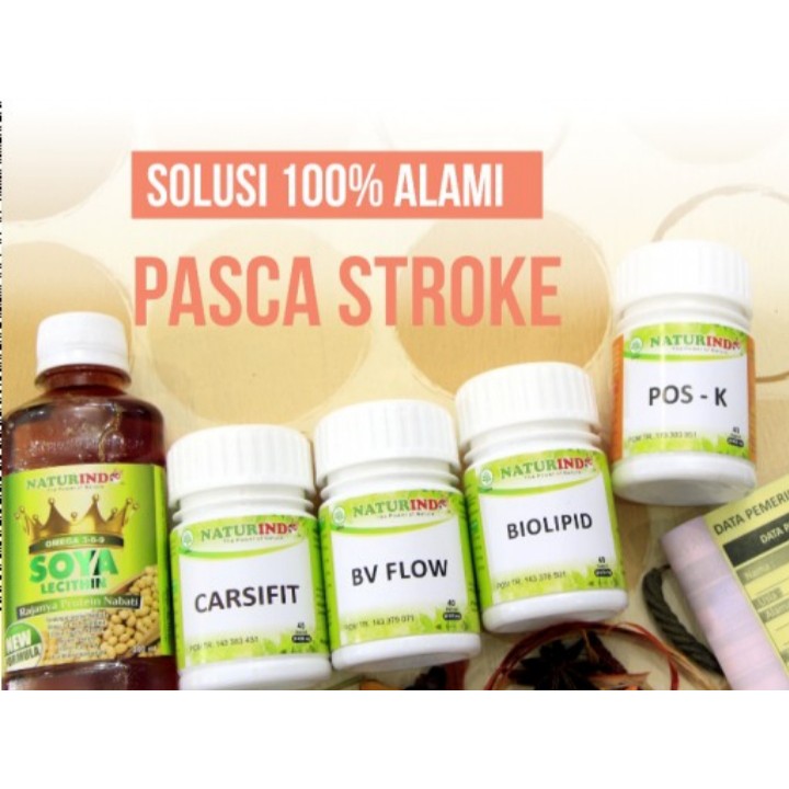 NATURINDO OBAT HERBAL PAKET ALAMI PASCA STROKE wzn01