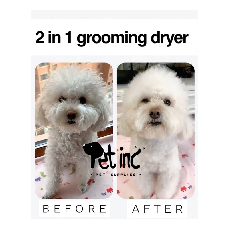 New generation 2 in 1 grooming dryer