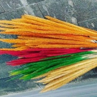 

Sataria warna natural gold merah dan hijau