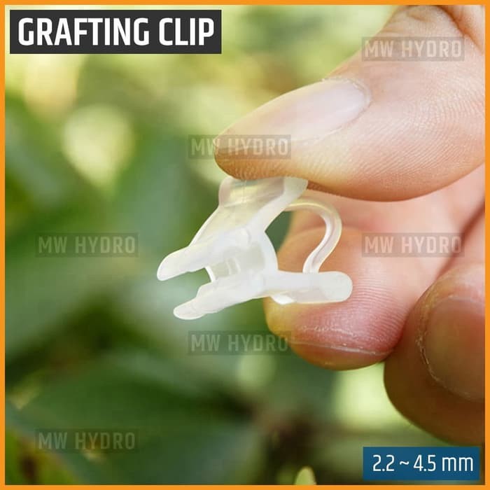 Grafting Clip Klip Okulasi Sambung Pucuk