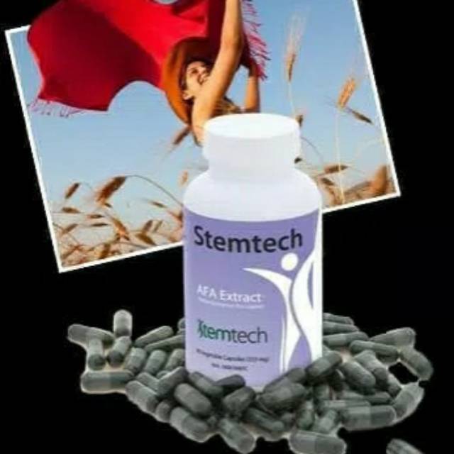 Stemtech Afa Extract Original - Ready Stock