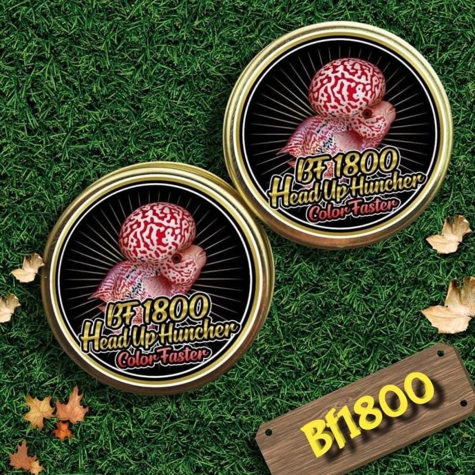 Pelet BF 1800 & BF 800 strong collor warna big head kok pakan louhan