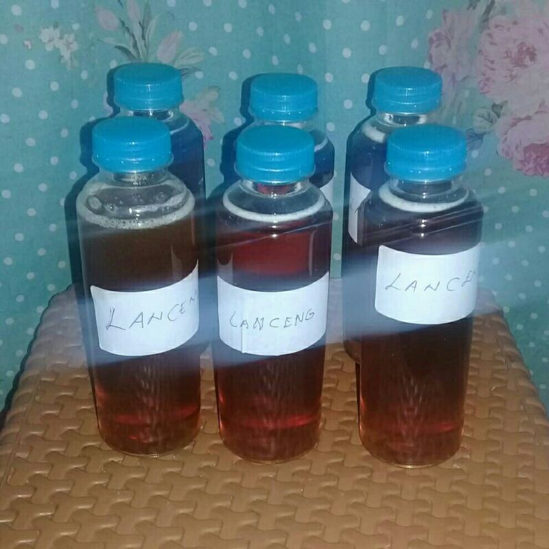 

Madu Klanceng / Lanceng / Kelulut 220 ml Original by Lebah Trigona sp. / Kelulut Herbal Drink by Alfarizqi OS