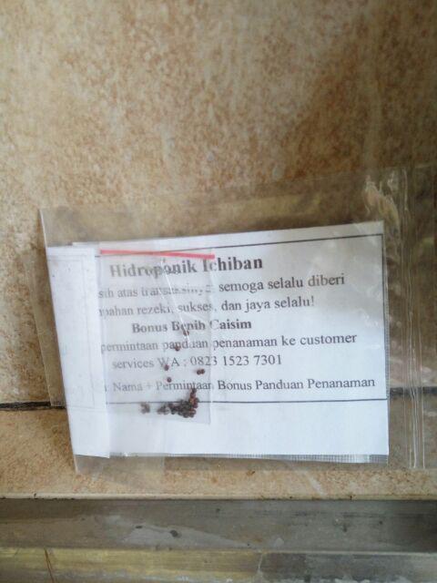 Benih Bibit Biji Strawberry Giant Raksasa Stroberi Strawberi