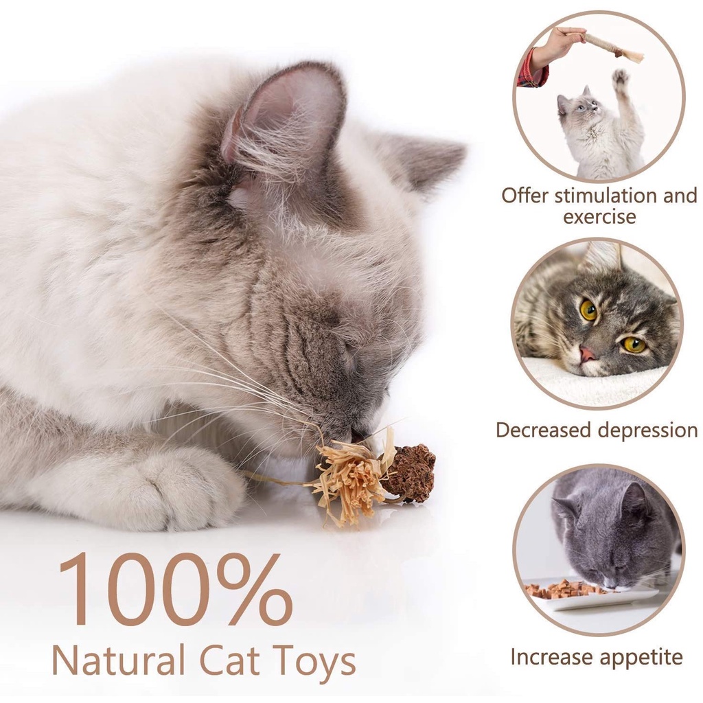 Catnip Toys for Cat - Mainan Kucing Untuk Membuat Rileks dan Tenang