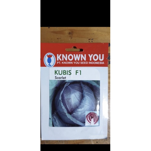 Benih kubis F1 Scarlet original known you seed