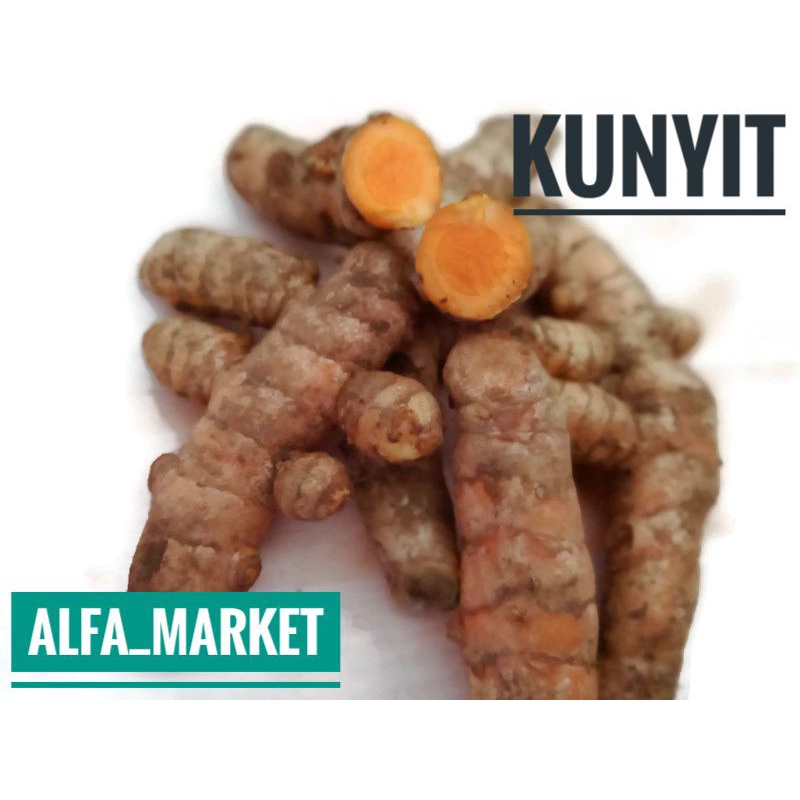 

KUNYIT BUMBU DAPUR REMPAH REMPAH