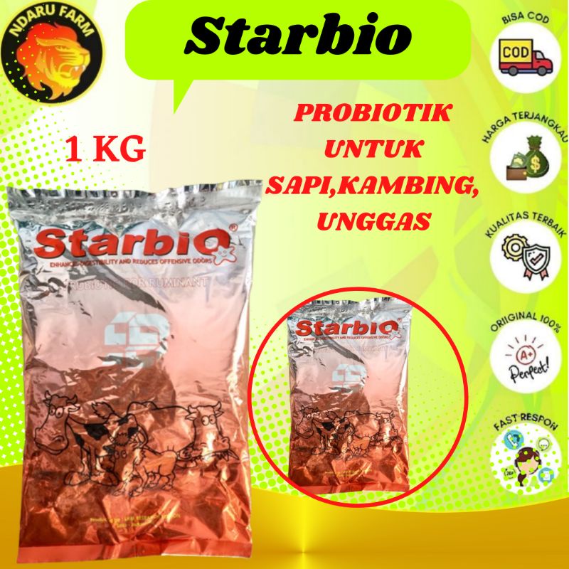 STARBIO PROBIOTIK UNTUK TERNAK RUMINANSIA SAPI KAMBING DOMBA KERBAU NDARUFRAM