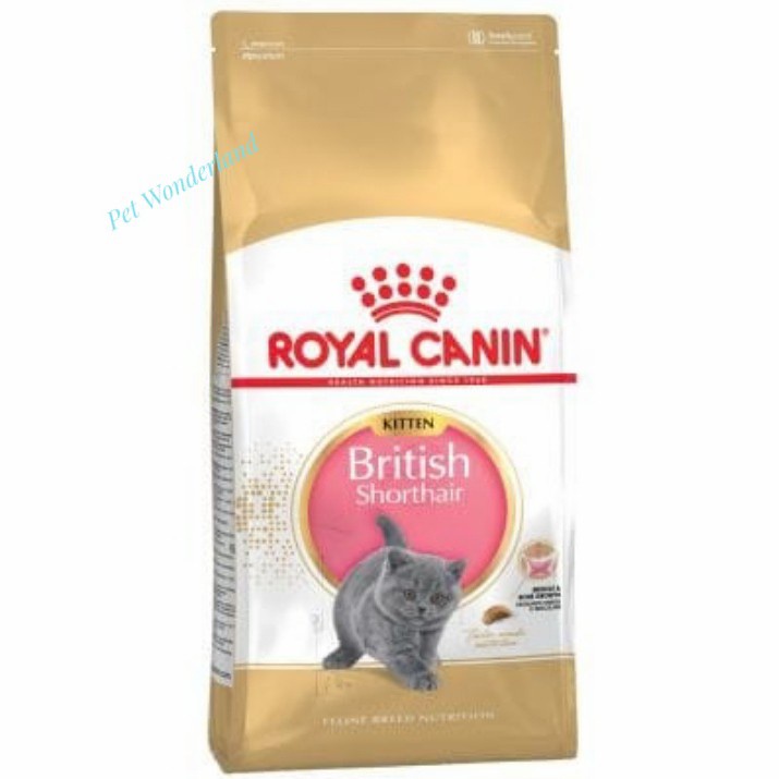 Royal Canin British Short Hair Kitten 2 Kg - Makanan Kucing British Short Hair Kitten